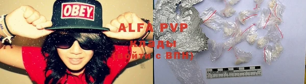 a pvp Белокуриха