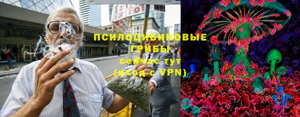 ГАЛЛЮЦИНОГЕННЫЕ ГРИБЫ Белоозёрский