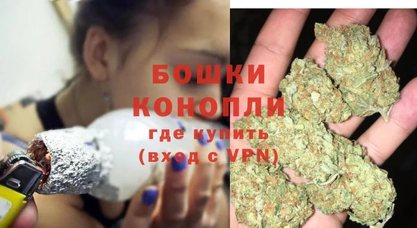 a pvp Белокуриха